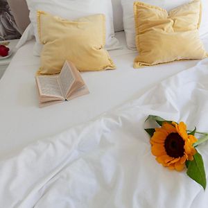 Habitación Individual